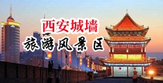 黄片日逼喷水中国陕西-西安城墙旅游风景区