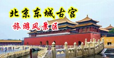 三个男人大鸡巴尻一个女人逼视频中国北京-东城古宫旅游风景区